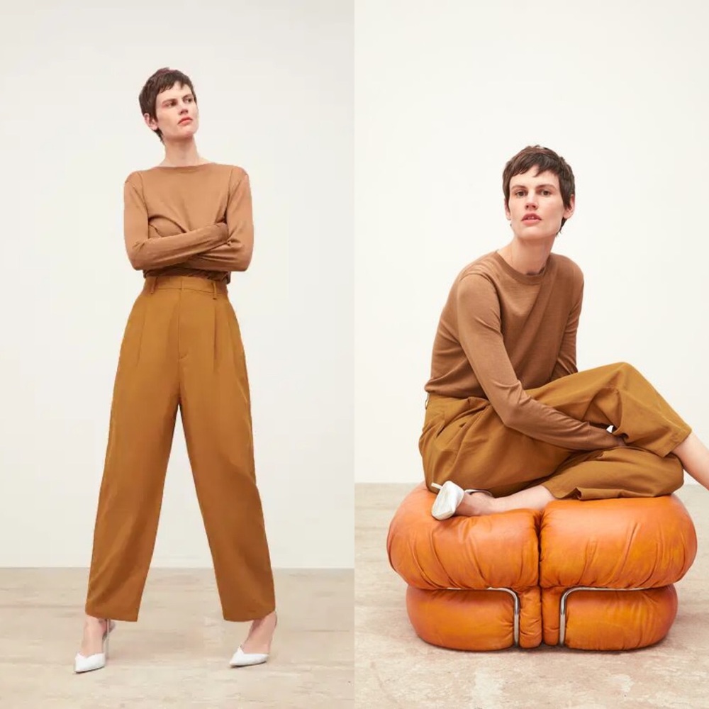 Zara Brown High-Waist Wide-Leg Pants